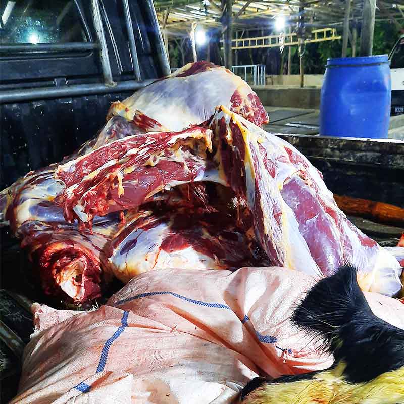 Daging sapi premium
