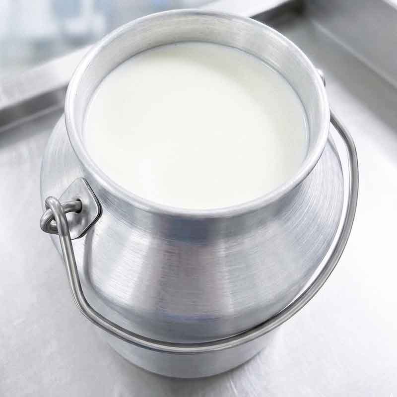 Susu segar sapi Friesian Holstein